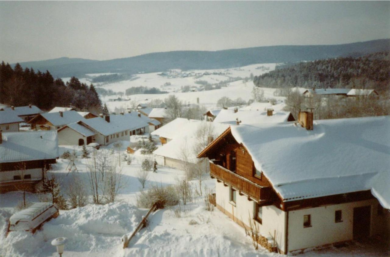 Fewo Mit Malerischem Bergblick Im Bischofsmais Zewnętrze zdjęcie