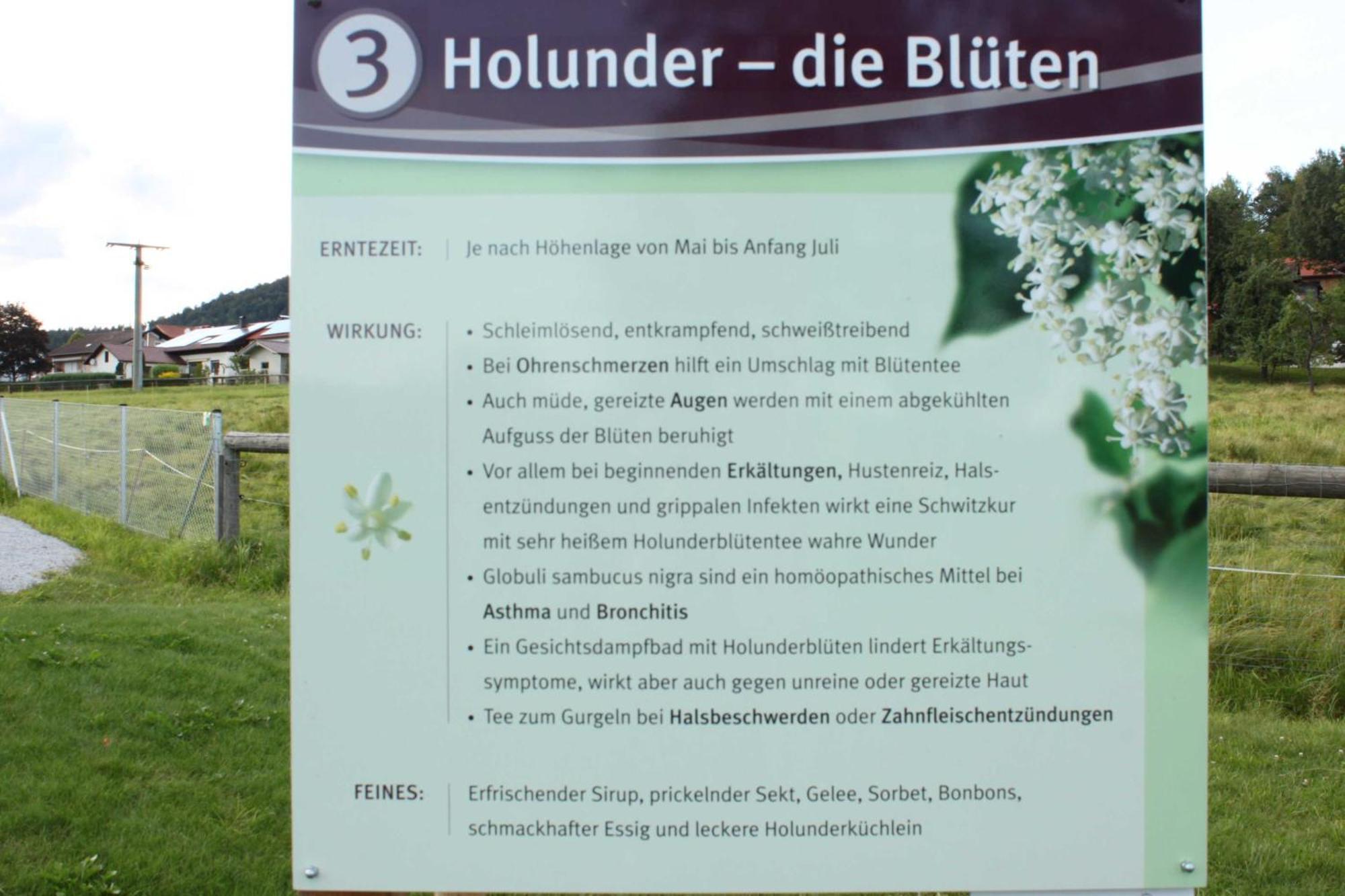 Fewo Mit Malerischem Bergblick Im Bischofsmais Zewnętrze zdjęcie