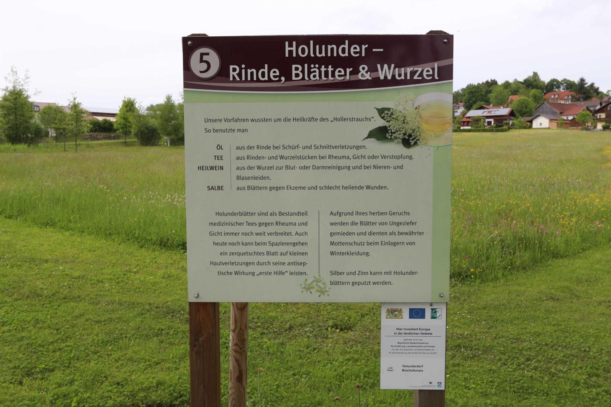 Fewo Mit Malerischem Bergblick Im Bischofsmais Zewnętrze zdjęcie