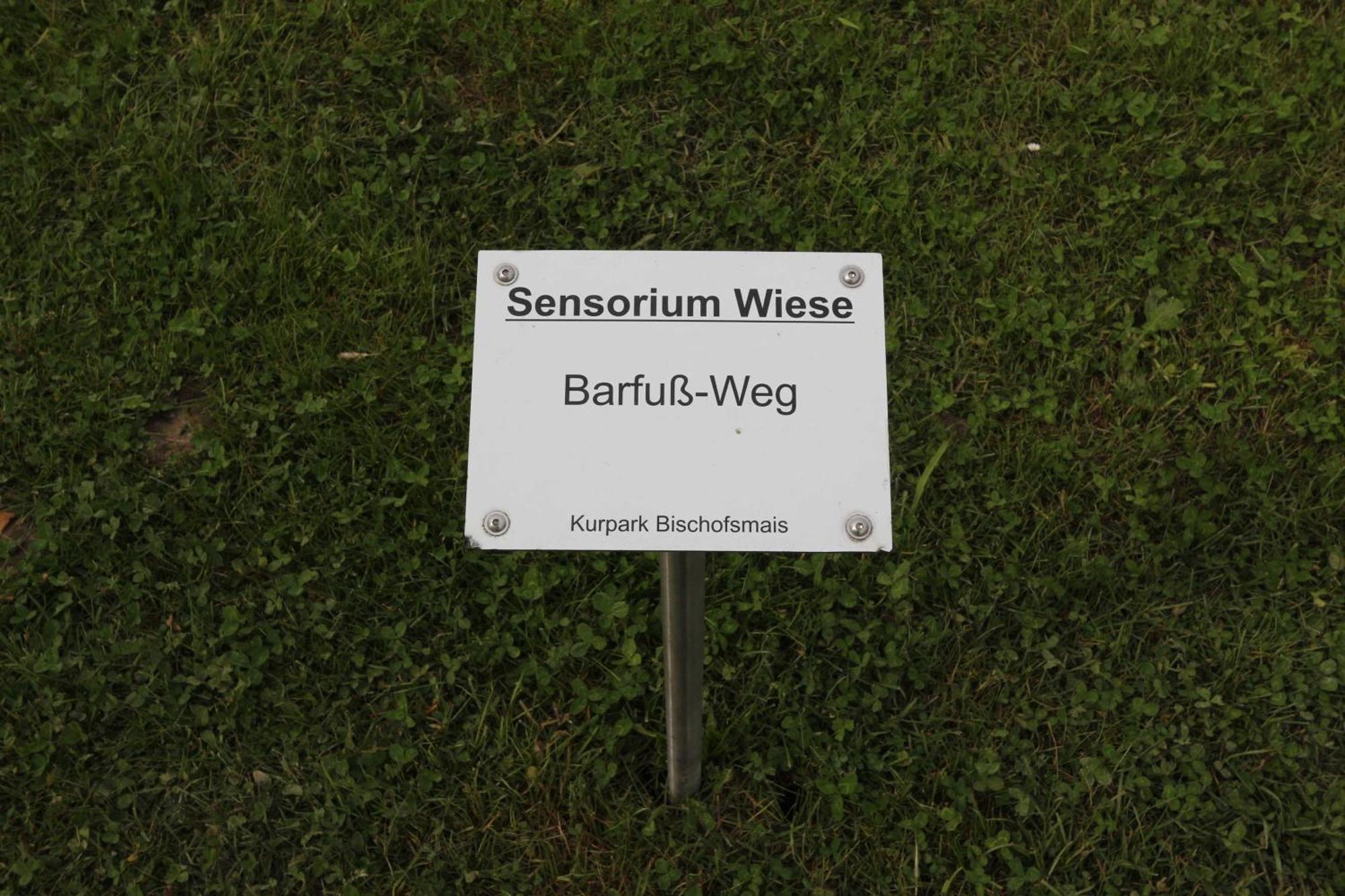 Fewo Mit Malerischem Bergblick Im Bischofsmais Zewnętrze zdjęcie