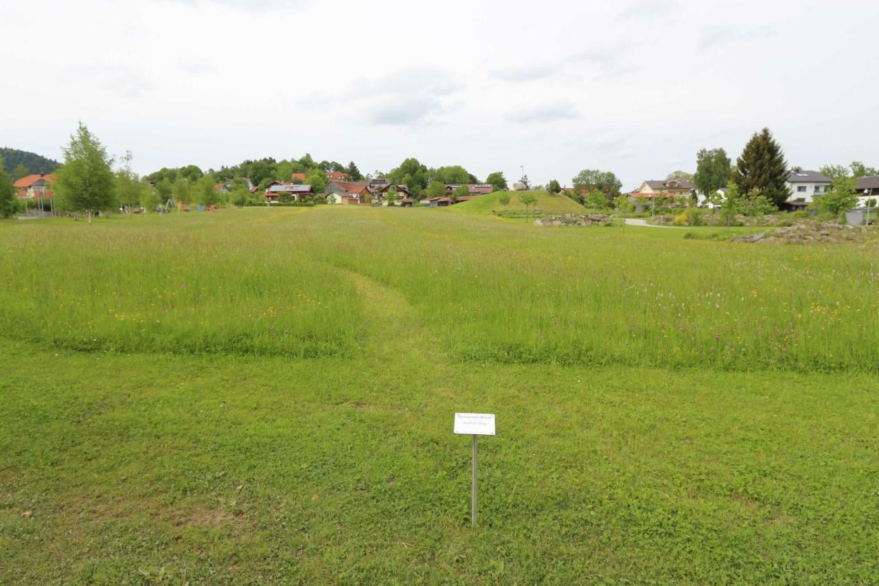 Fewo Mit Malerischem Bergblick Im Bischofsmais Zewnętrze zdjęcie